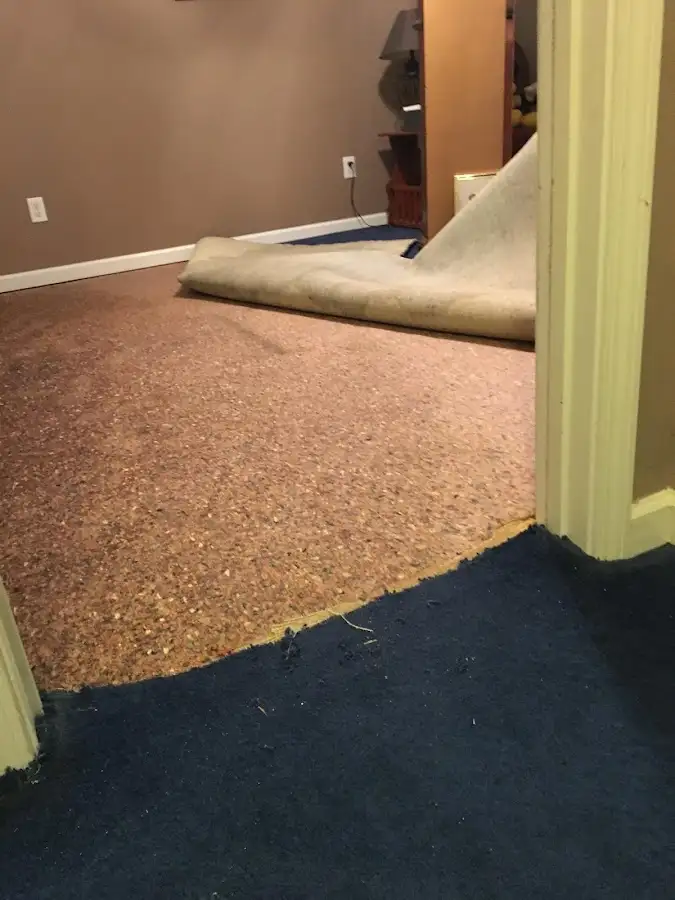 Carpet pad removal revealing water damage during Drying & Dehumidification in Lakewood Park