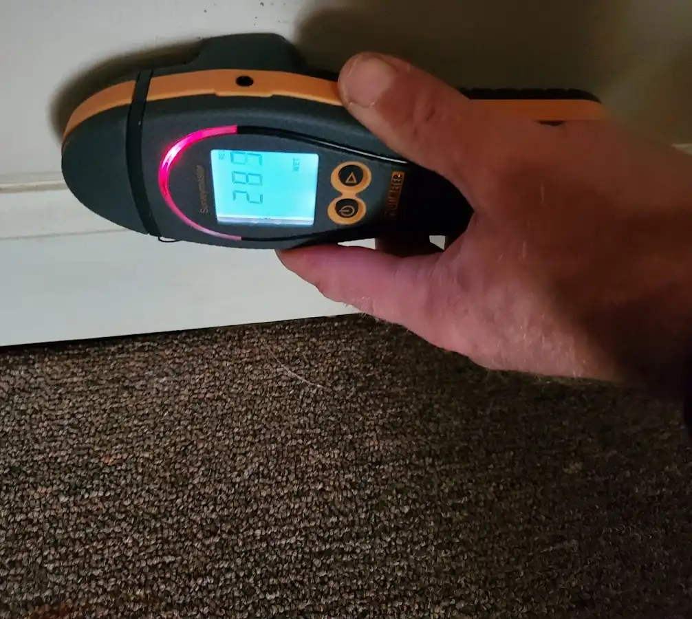 Moisture detection at baseboard during Sewage Cleanup & Sanitation in Lakewood Park